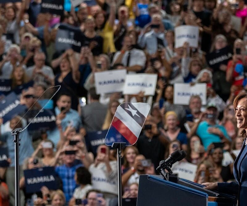 Kamala Harris’ identity as a biracial woman is either a strength or a weakness, depending on whom you ask