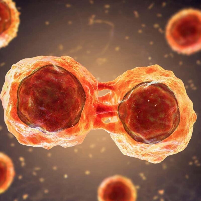 Lab-grown stem cells could be a ‘breakthrough’ for cancer treatment Lab-grown stem cells could be a ‘breakthrough’ for cancer treatment