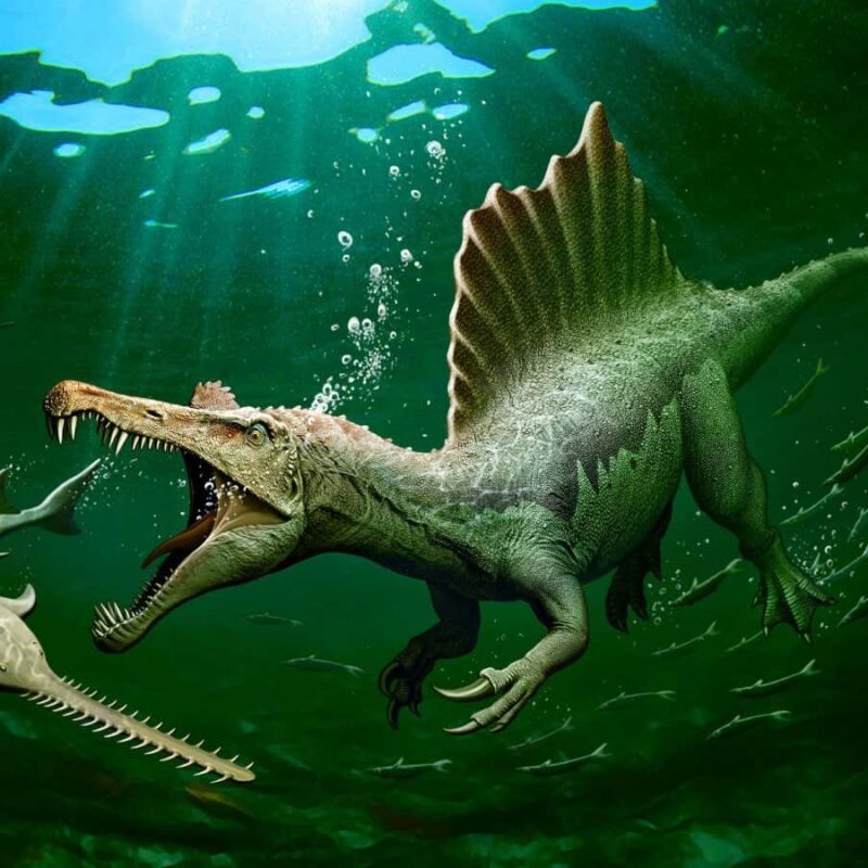 David Hone interview: How the hidden lives of dinosaurs are being revealed by new technology