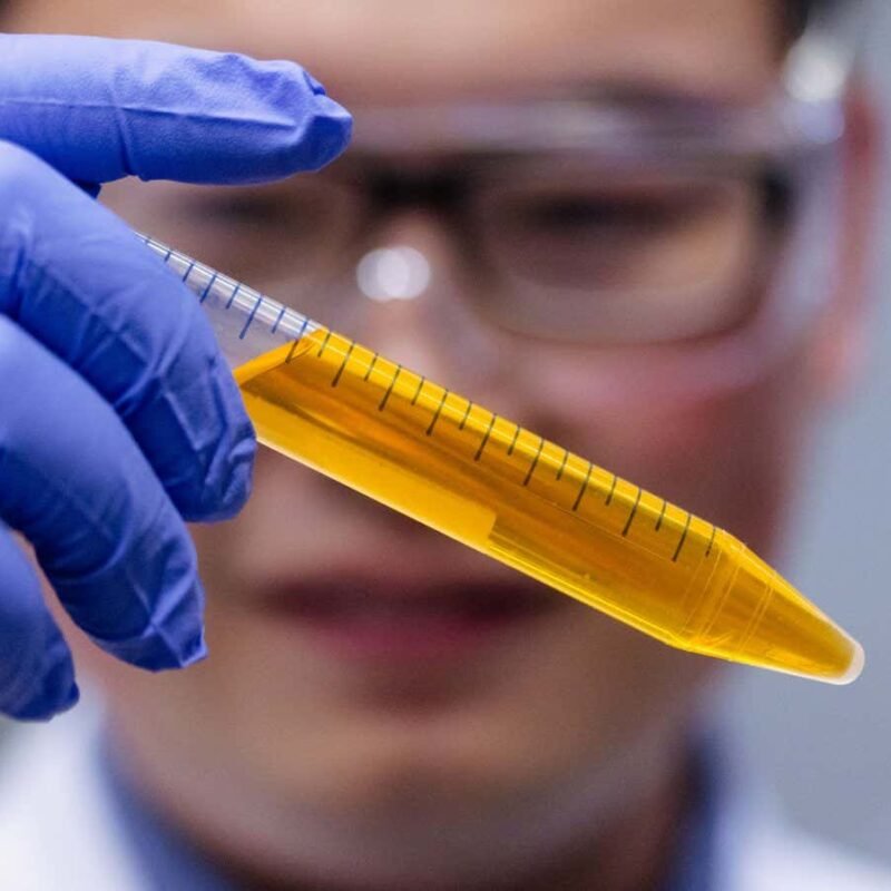 Mice turned see-through by a dye that lets you watch their organs