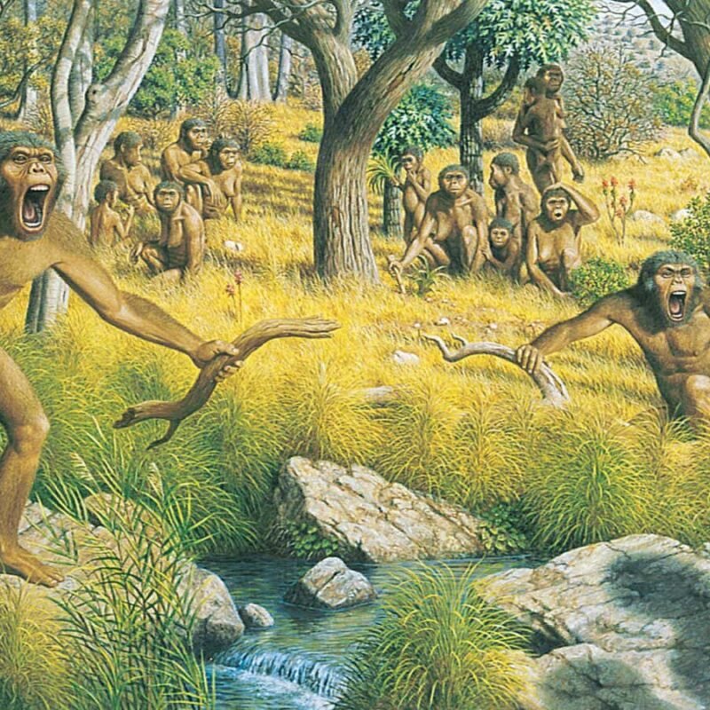 When did humans leave the trees for the savannah – or did they at all?