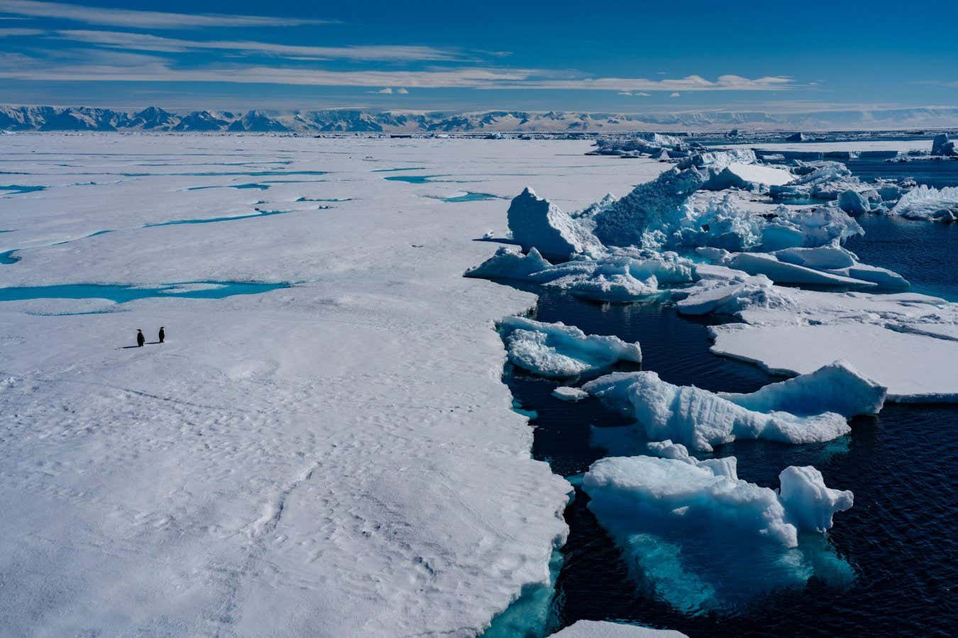 Another extreme low for Antarctic sea ice signals a permanent shift