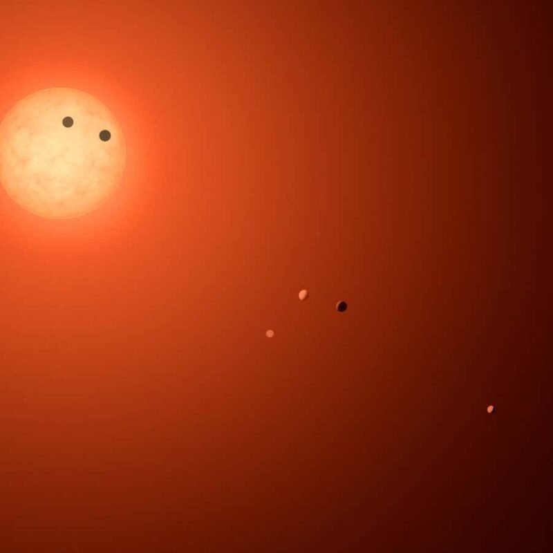 Search for alien transmissions in promising TRAPPIST-1 star system draws a blank