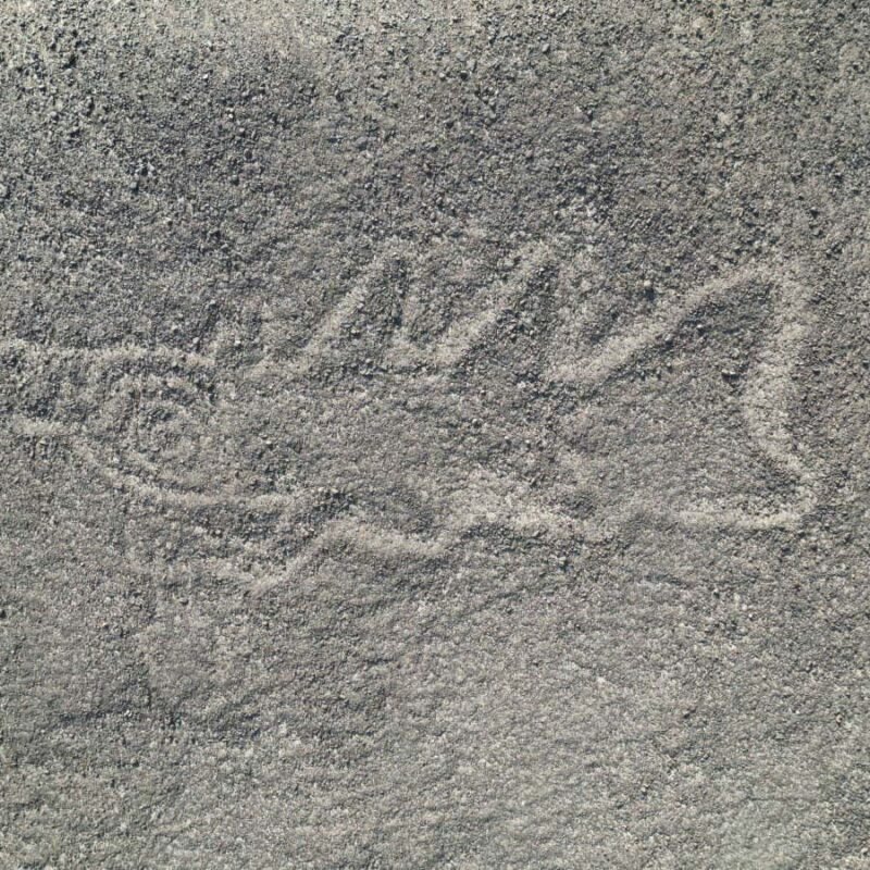 AI discovers hundreds of ancient Nazca drawings in Peruvian desert