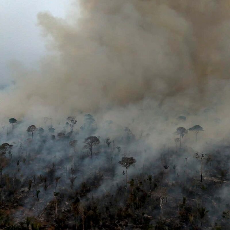 Deforestation is partly to blame for Amazon's worst-ever drought