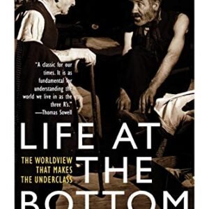 Life at the Bottom: The Worldview That Makes the Underclass