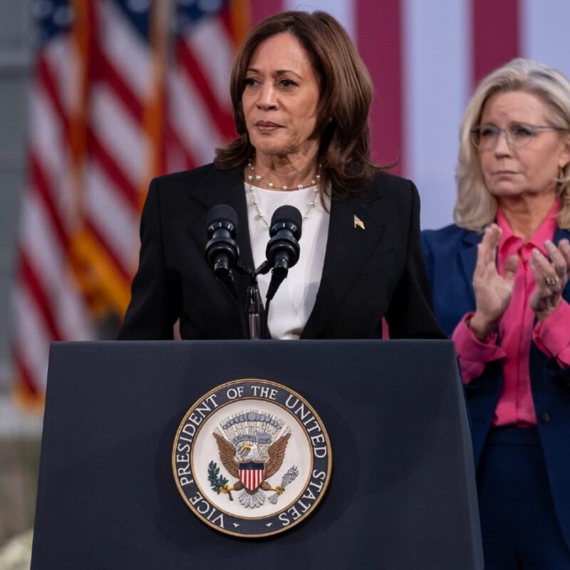 Kamala Harris Is Taking a Big Risk by Playing It Safe