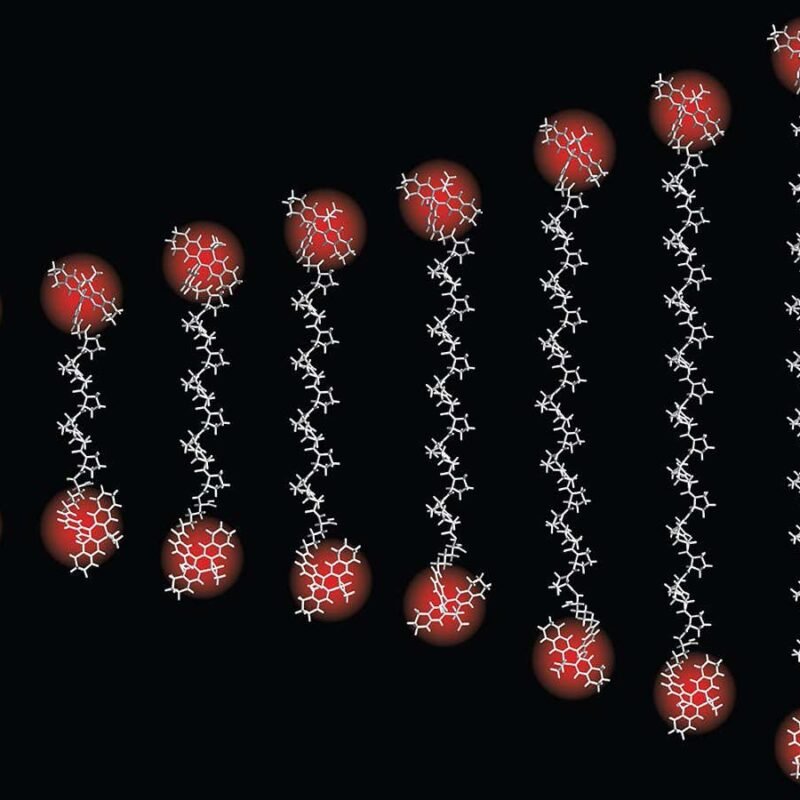 Tiniest ‘ruler’ ever measures distances as small as an atom’s width