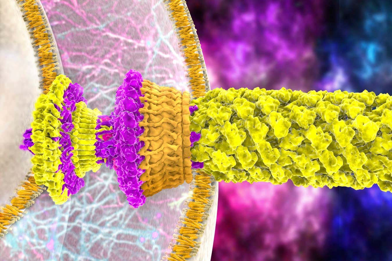 Motor made from bacteria parts is one of the smallest ever built