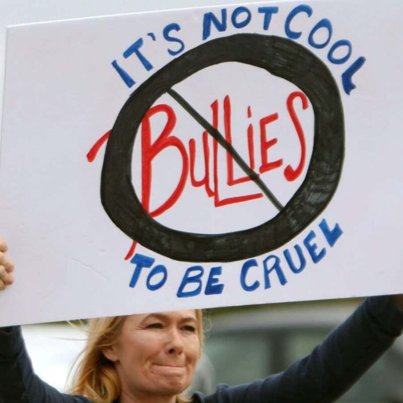 We're starting to understand what being bullied does to the brain