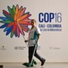 What to expect at the COP16 biodiversity summit