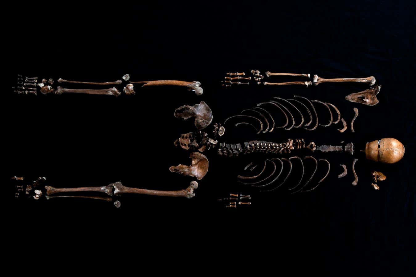 DNA helps match ‘Well Man’ skeleton to 800-year-old Norwegian saga