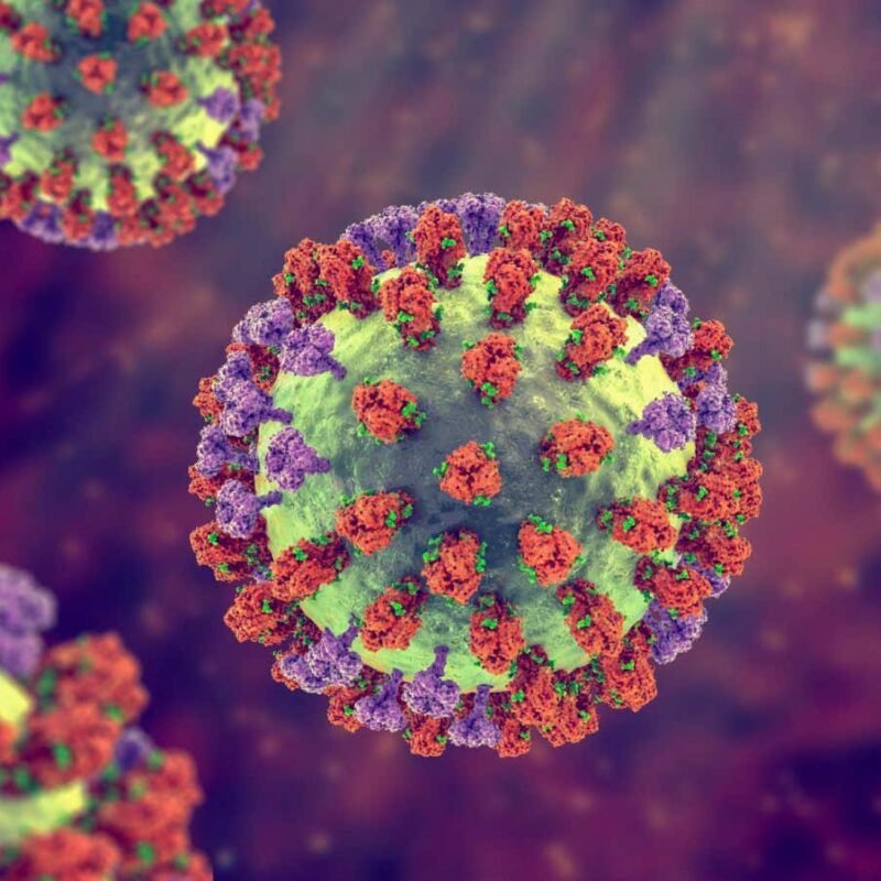 Flu viruses are made to move through mucus