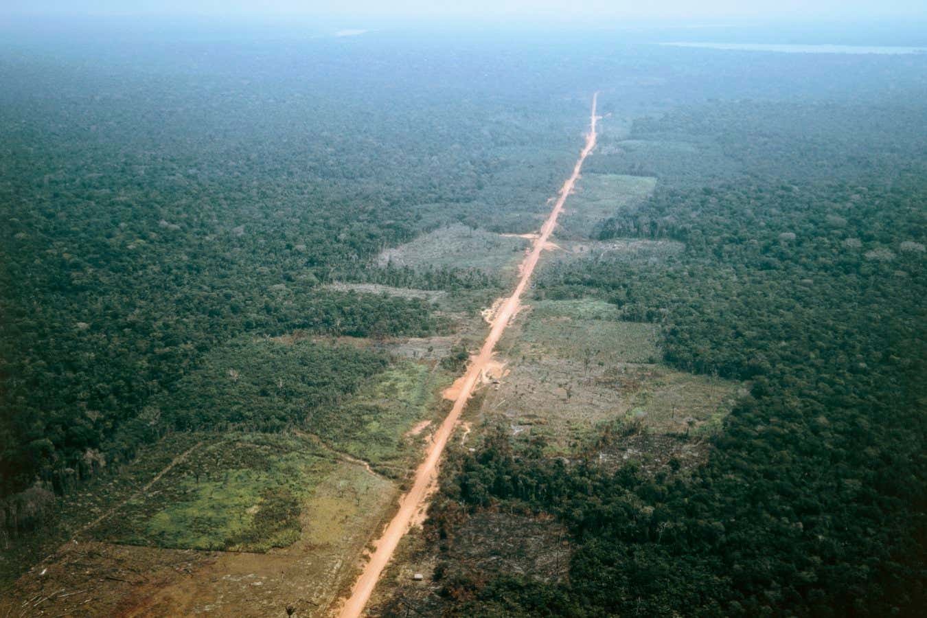 The Amazon is teetering on the edge of a climate tipping point