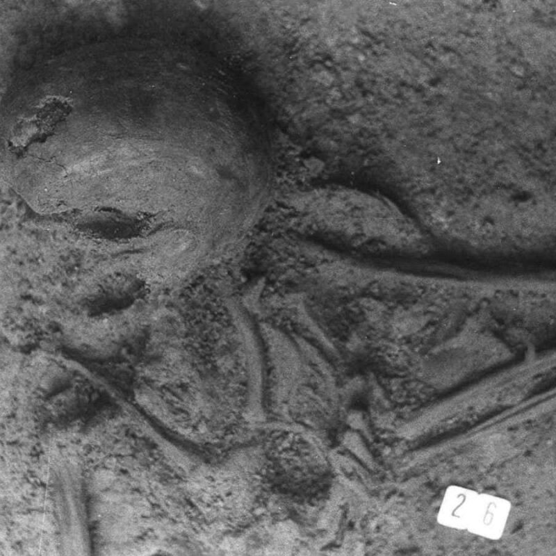 A bizarre skeleton from a Roman grave has bones from seven people