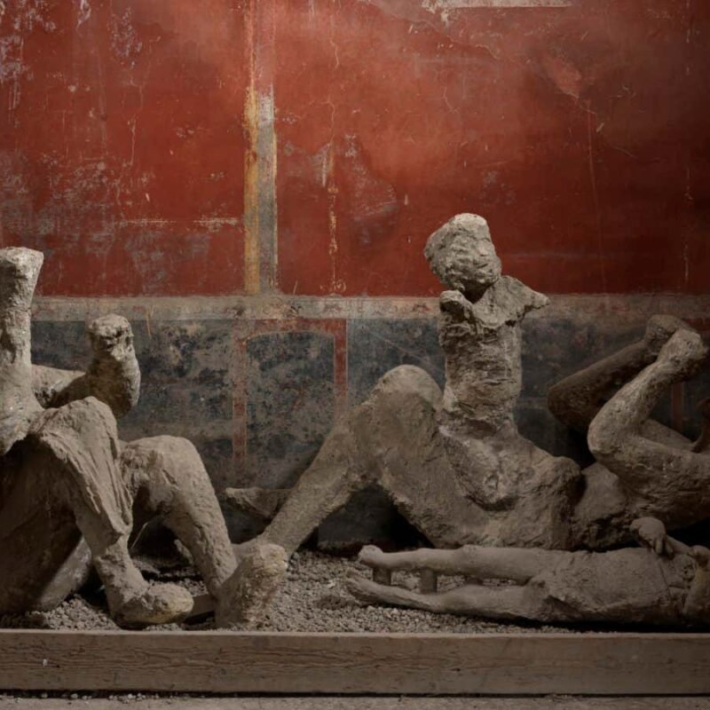 DNA analysis rewrites the stories of people buried in Pompeii