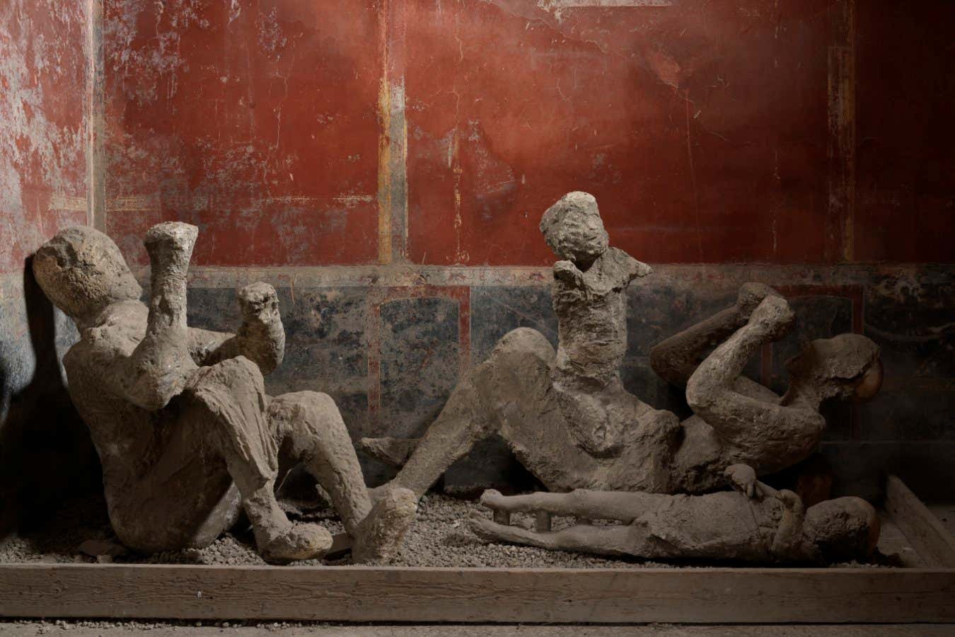 DNA analysis rewrites the stories of people buried in Pompeii