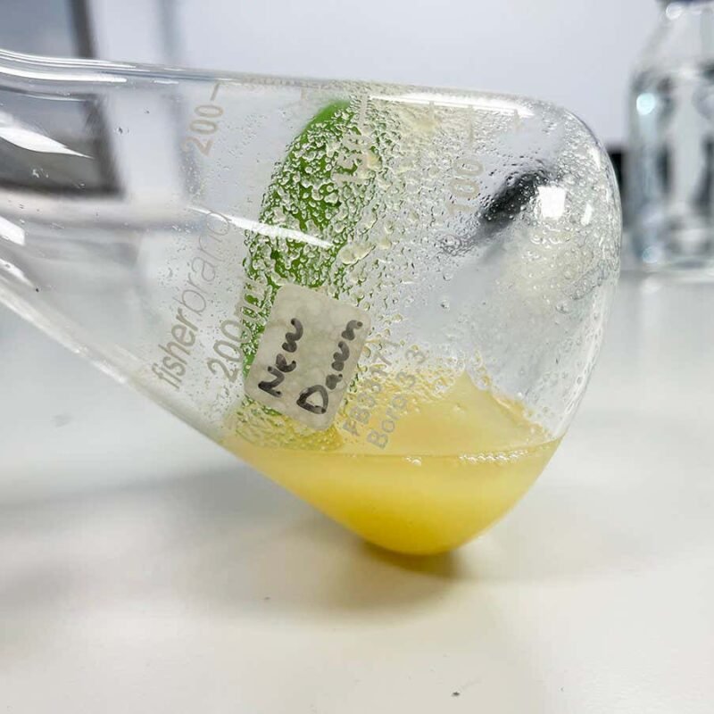 A sliver of lab-grown wood has been made from stem cells