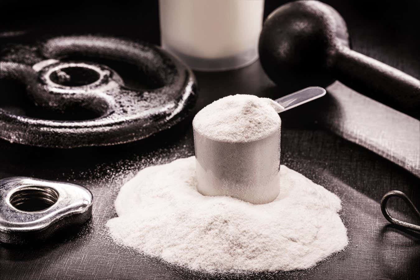 Creatine: The science behind the gym supplement with benefits for both brain and body