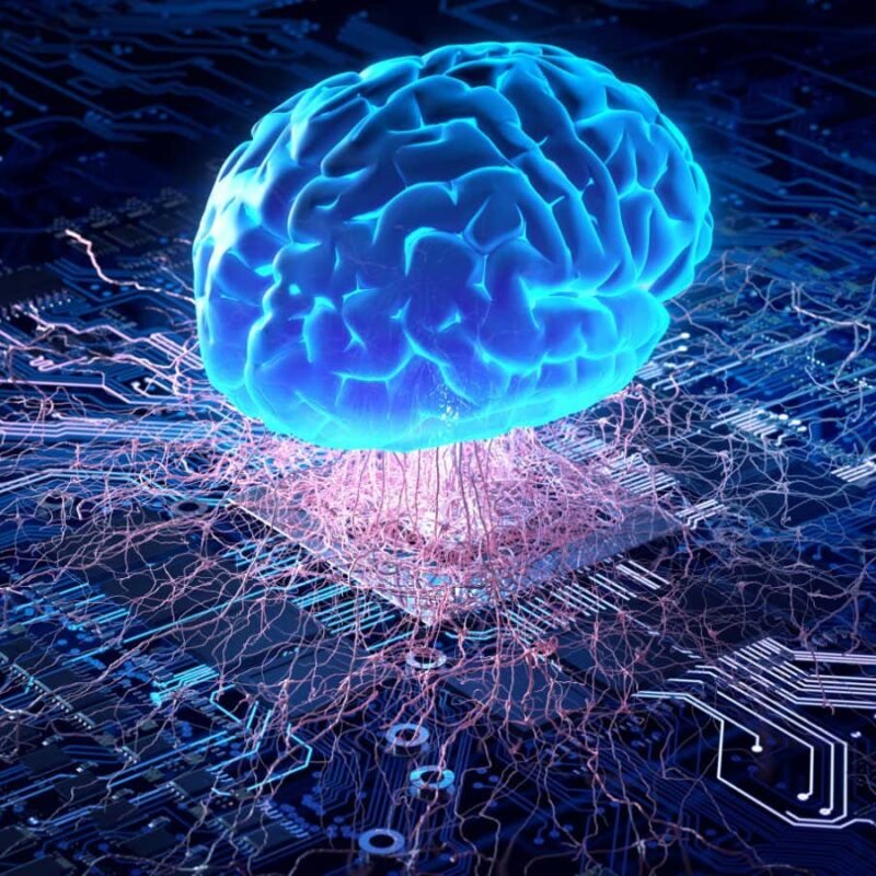 Banning scary-sounding ideas can comfort but does more harm than good