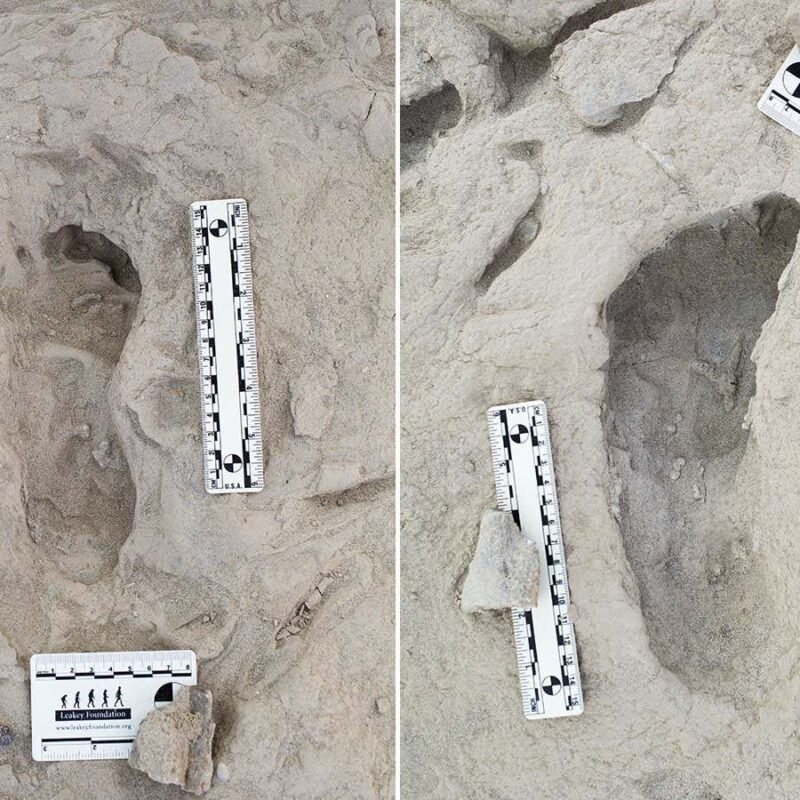 Ancient footprints show how early human species lived side by side