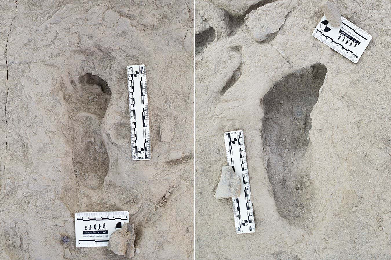 Ancient footprints show how early human species lived side by side