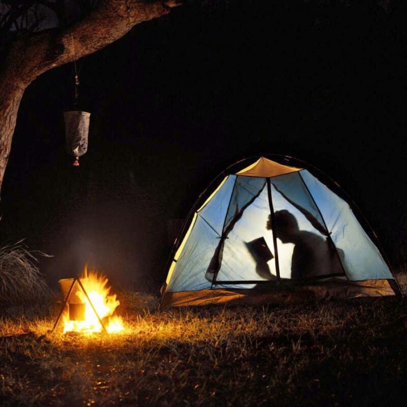 The best popular science books of 2024, from nuclear war to the future of our oceans