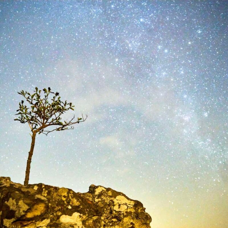 The best new science fiction books of 2024, from Adam Roberts to Rachel Kushner