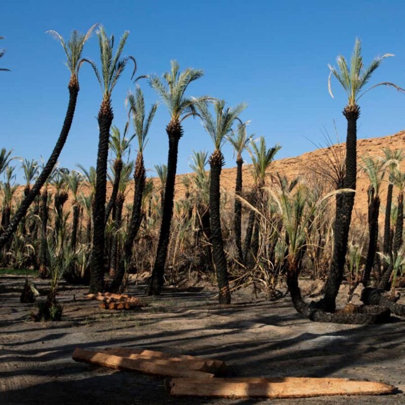 Images reveal how climate change is upending life in Morocco’s oases