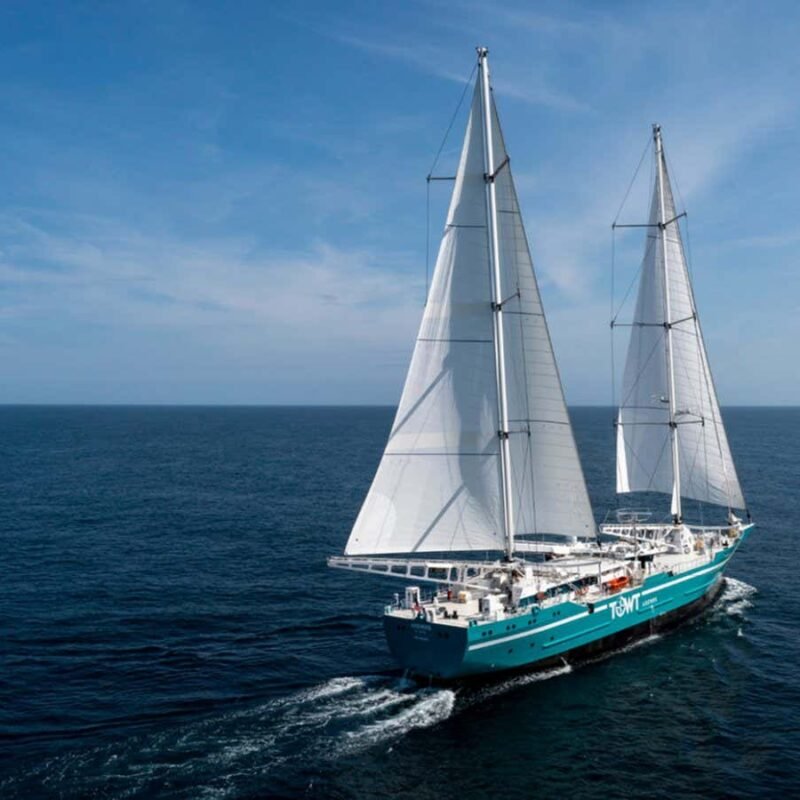 The most encouraging climate solutions and green technologies of 2024