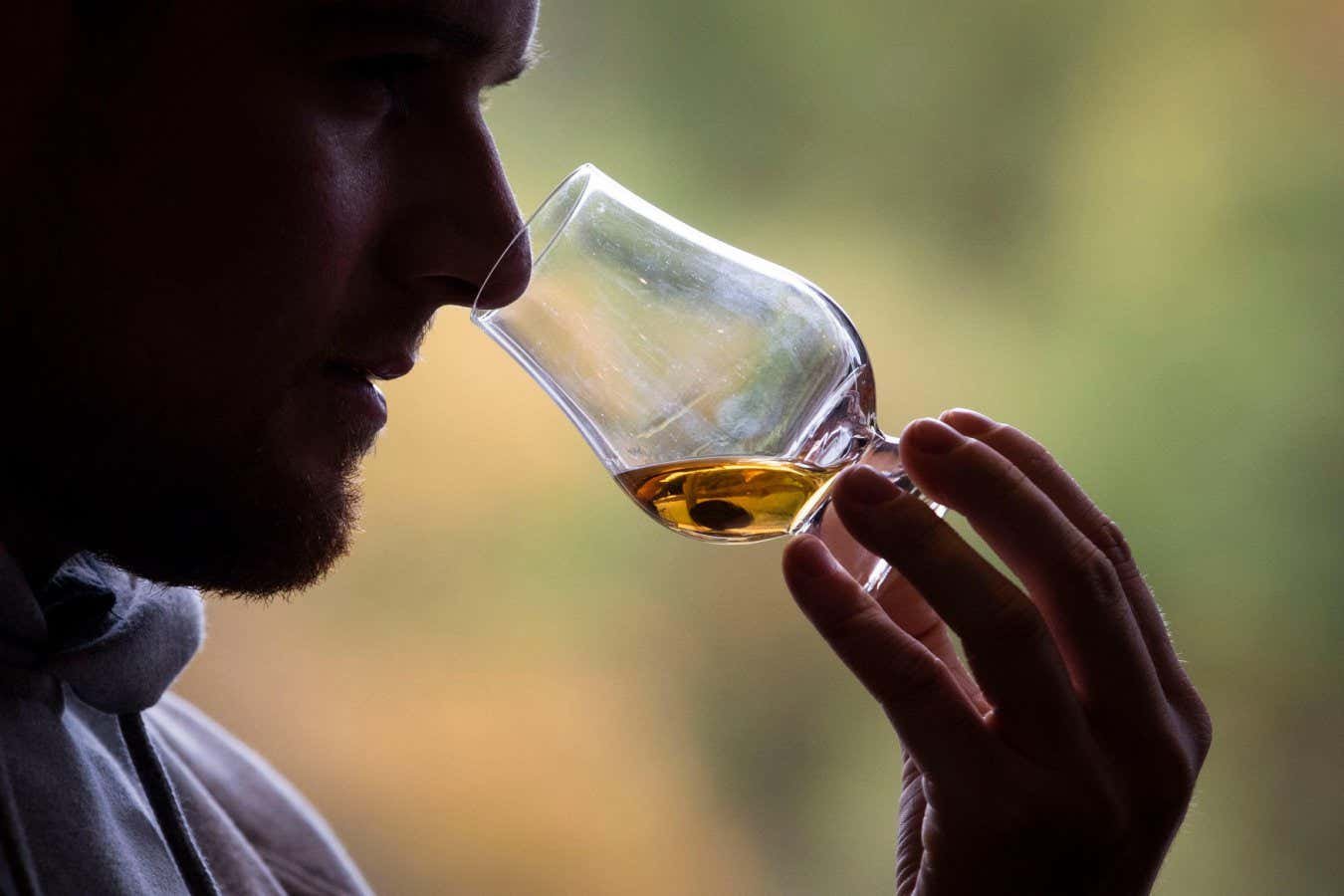 AI beats human experts at distinguishing American whiskey from Scotch