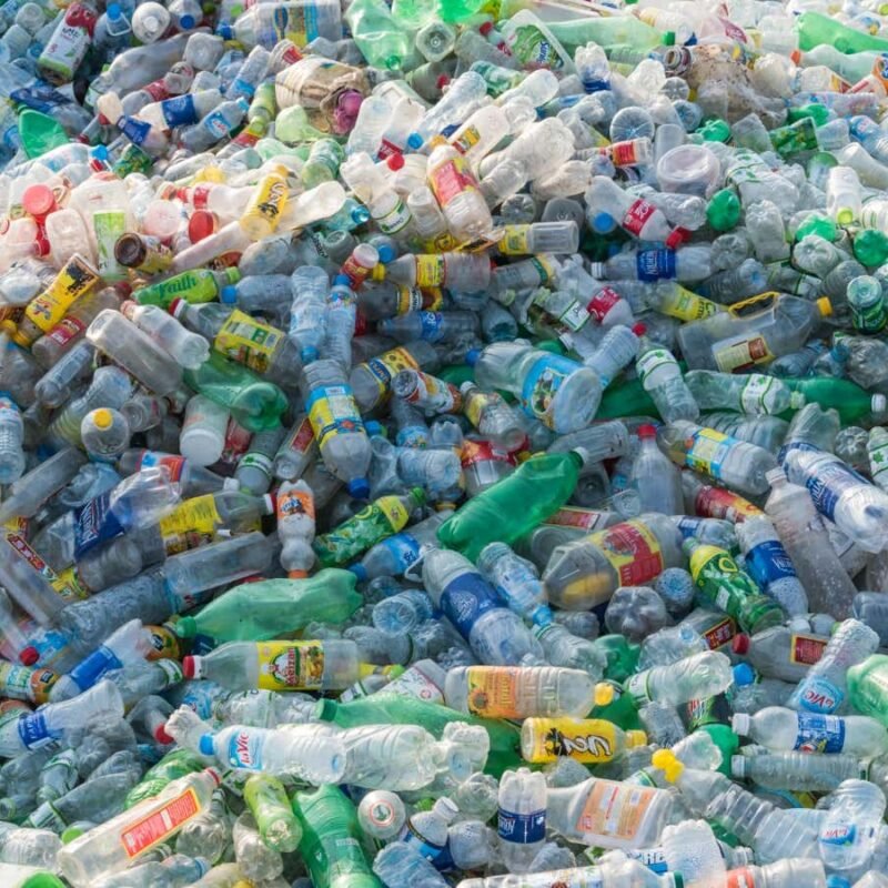 Plastic chemicals linked to hundreds of thousands of deaths worldwide