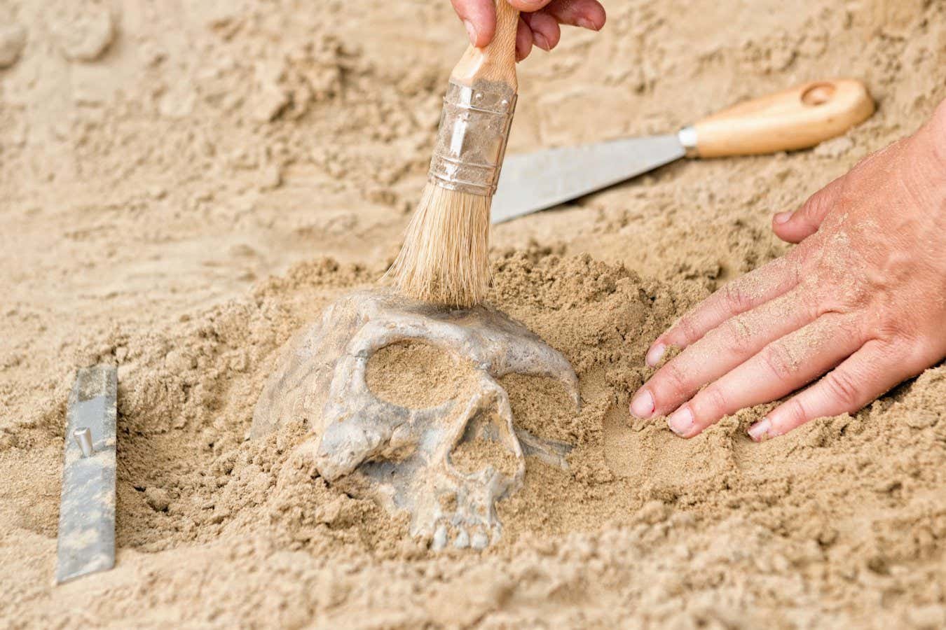 How DNA in dirt is reshaping our understanding of Stone Age humans