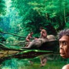 Climate change may have killed ancient ‘hobbit’ hominins