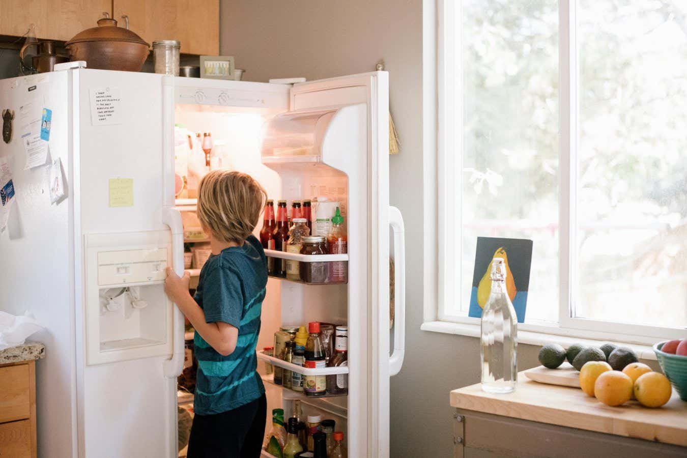 Crystal-based cooling could make fridges more sustainable