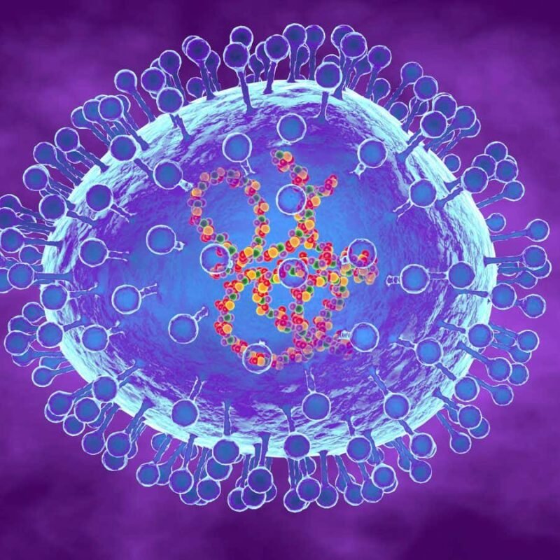 What is hMPV, the virus spreading through China?