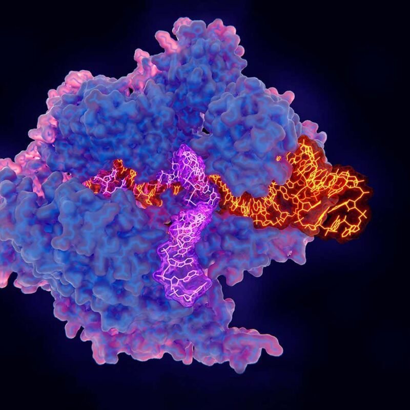 Will genome editing transform our children’s health? Some have doubts