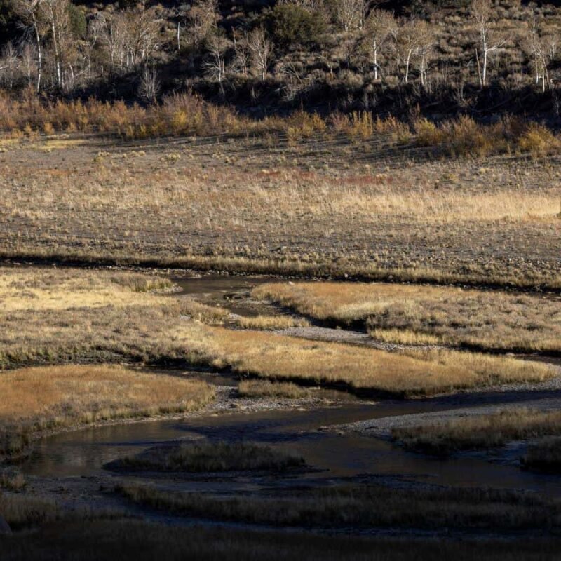 La Niña is finally here but it won’t stay for long