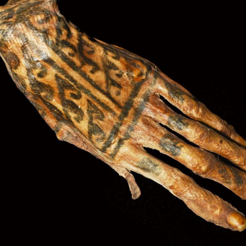 Intricate ancient tattoos revealed by shining lasers on mummies