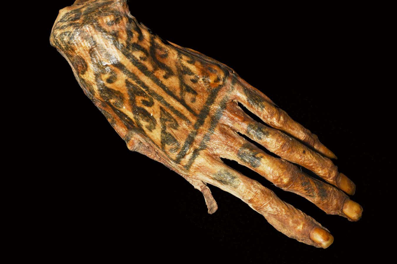 Intricate ancient tattoos revealed by shining lasers on mummies