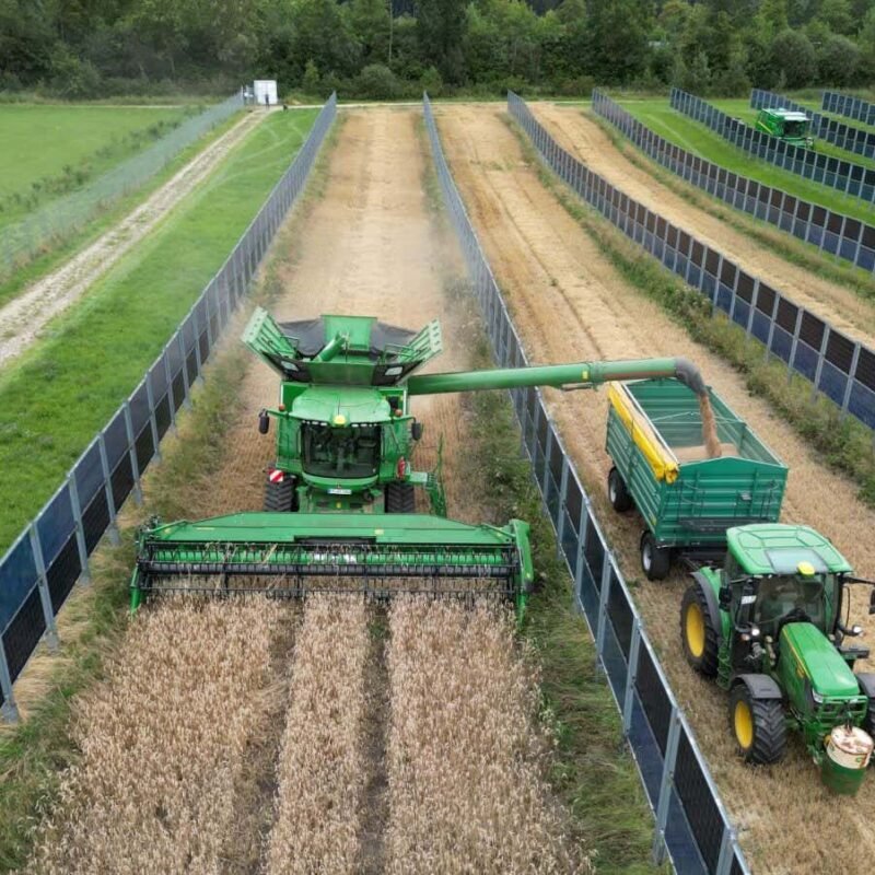 Farms can install vertical solar panels without reducing crop yields