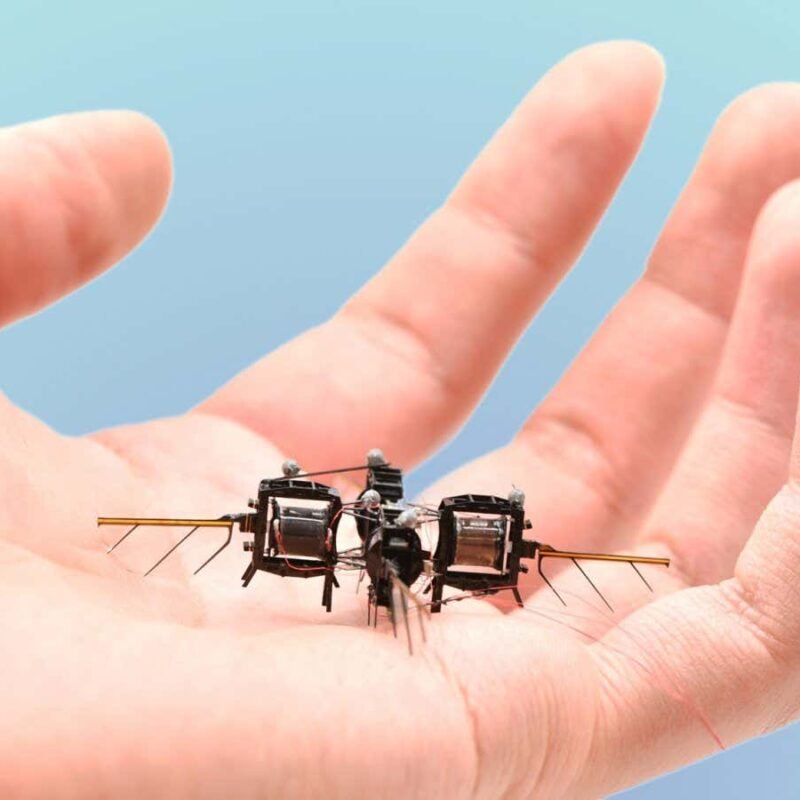 Tiny insect-like robot can flip, loop and hover for up to 15 minutes Tiny insect-like robot can flip, loop and hover for up to 15 minutes