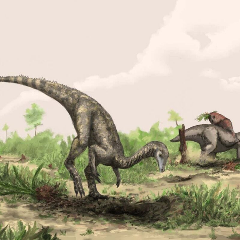 Dinosaurs may have first evolved in the Sahara and Amazon rainforest