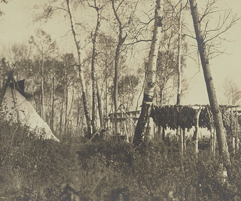 Food as a tool of oppression