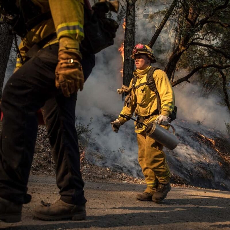 Setting fire to a million acres of California could cut smoke by half