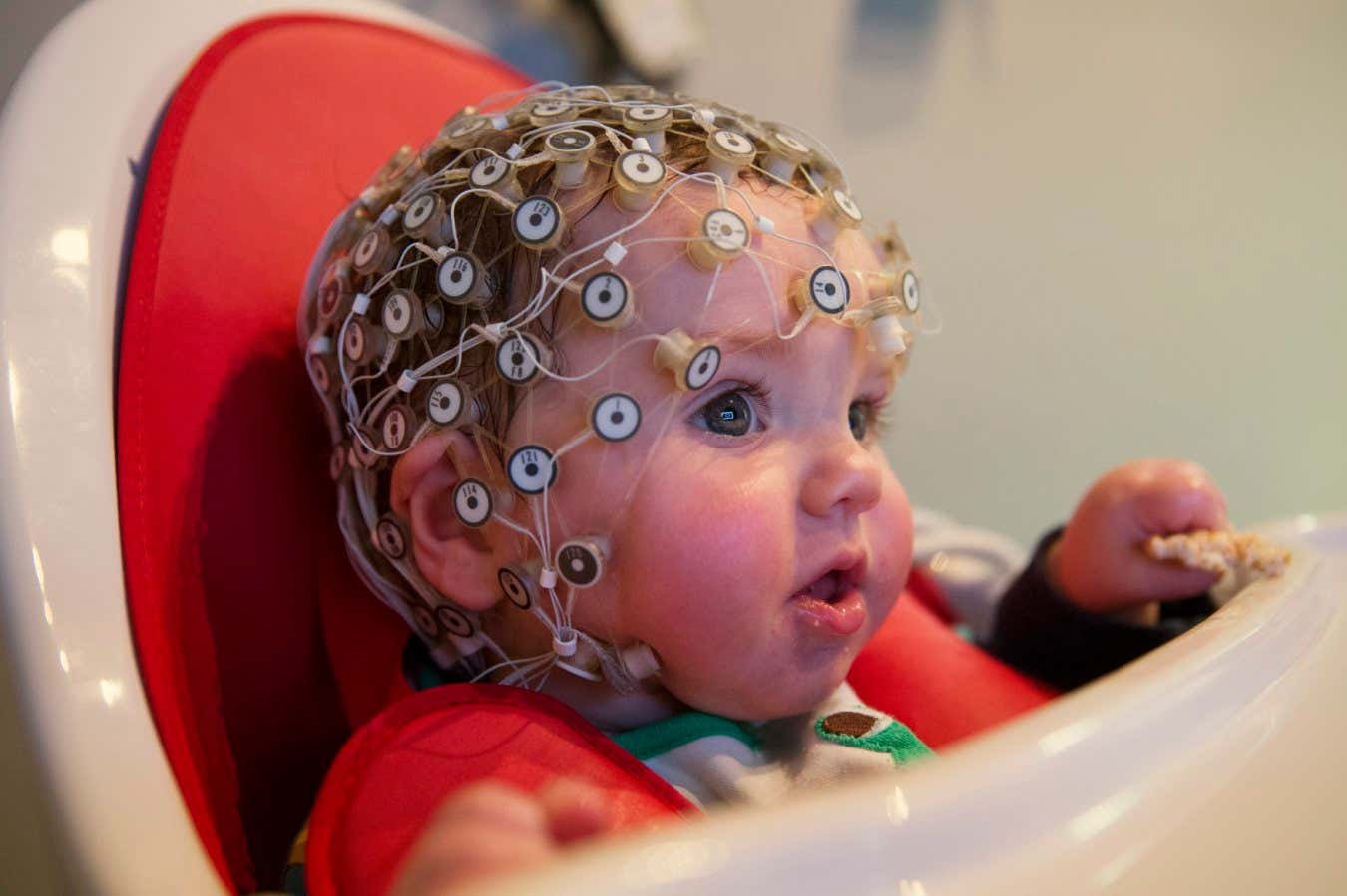 How studying babies’ minds is prompting us to rethink consciousness