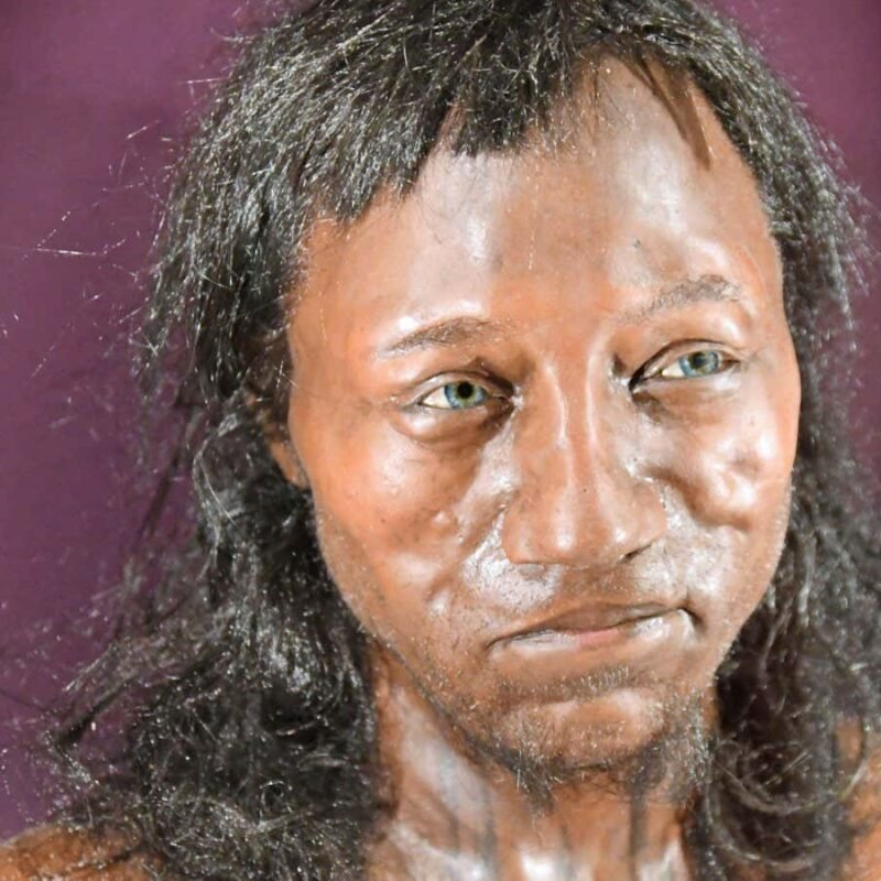 Most Europeans may have had dark skin until less than 3000 years ago