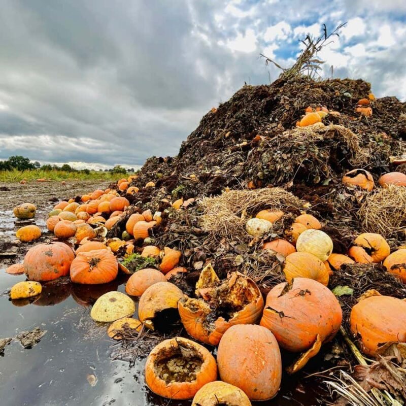 Carbon-neutral hydrogen can be produced from farm waste