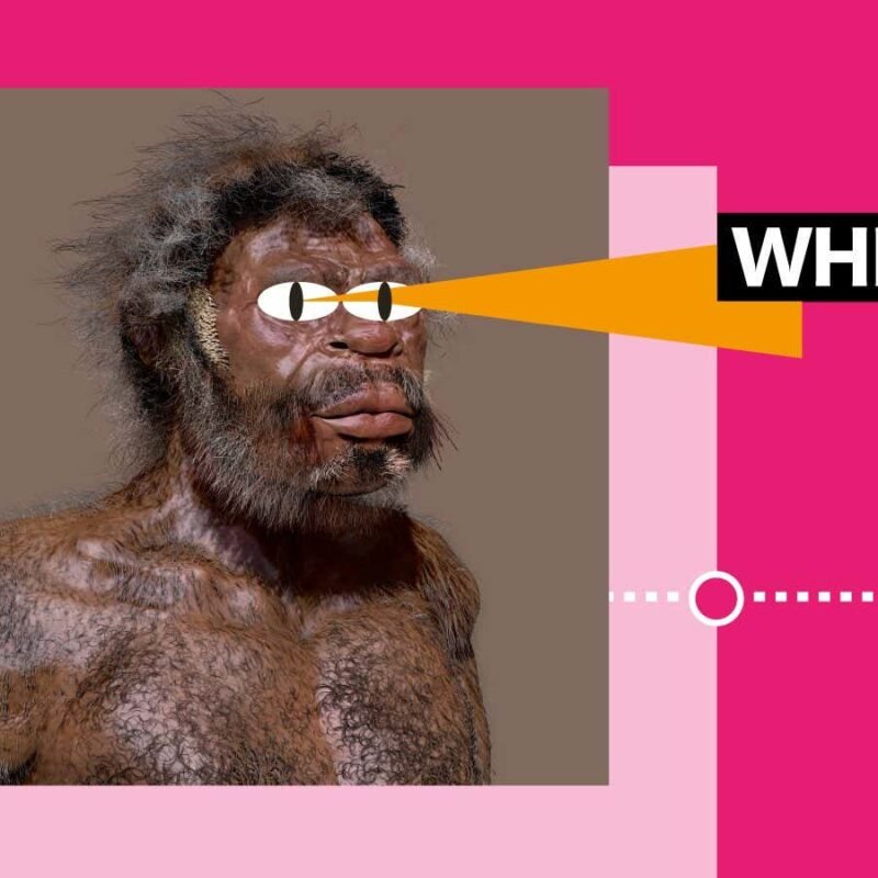 Why it’s so hard to tell when Homo sapiens became a distinct species