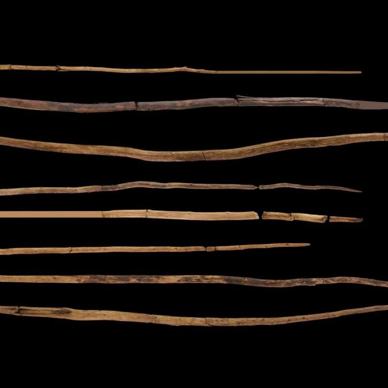 Ancient hunters may have used throwing spears 300,000 years ago